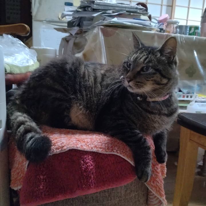 18219ff5 43be 4f2f a8a2 b2f85065928a 1724103380417