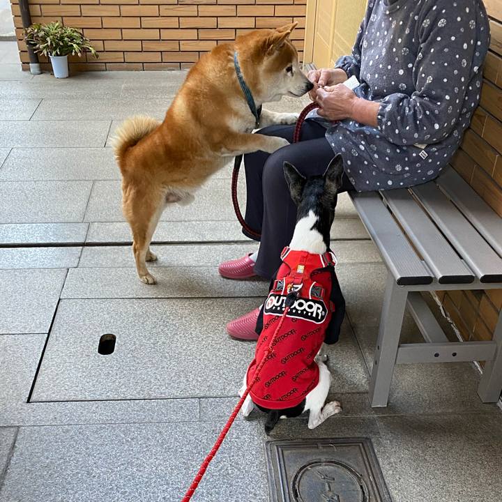 1821b5d0 58b1 4995 97a4 26f220ab31dc 1618109483302