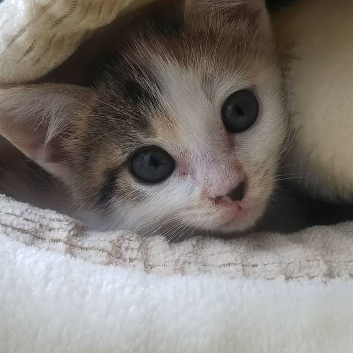 1821b71f fdb5 4f10 b326 ea7d927fbaae 1641420500381