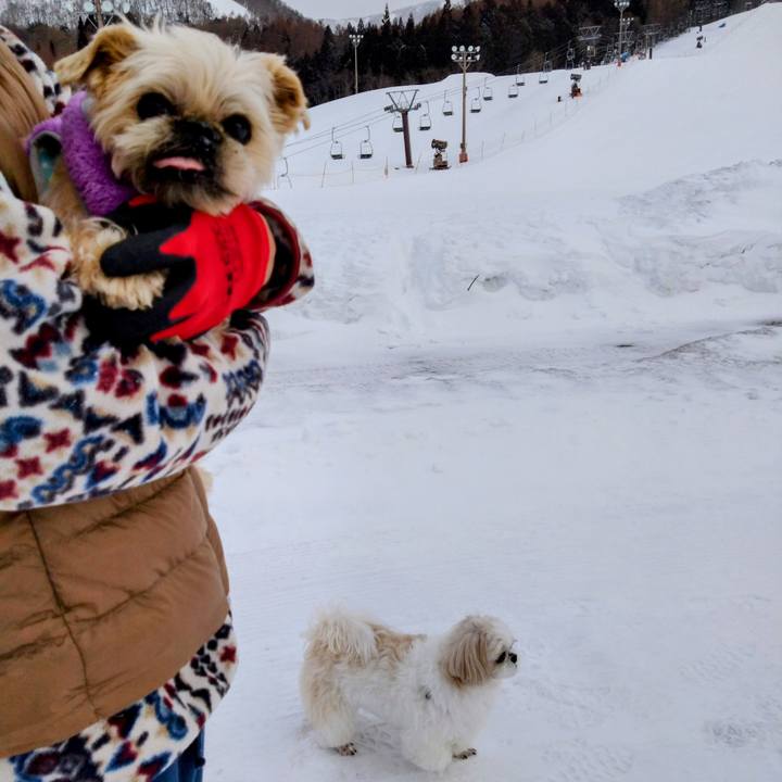 1821bc83 28a8 40c3 9099 5f4cb7749c11 1741424054394