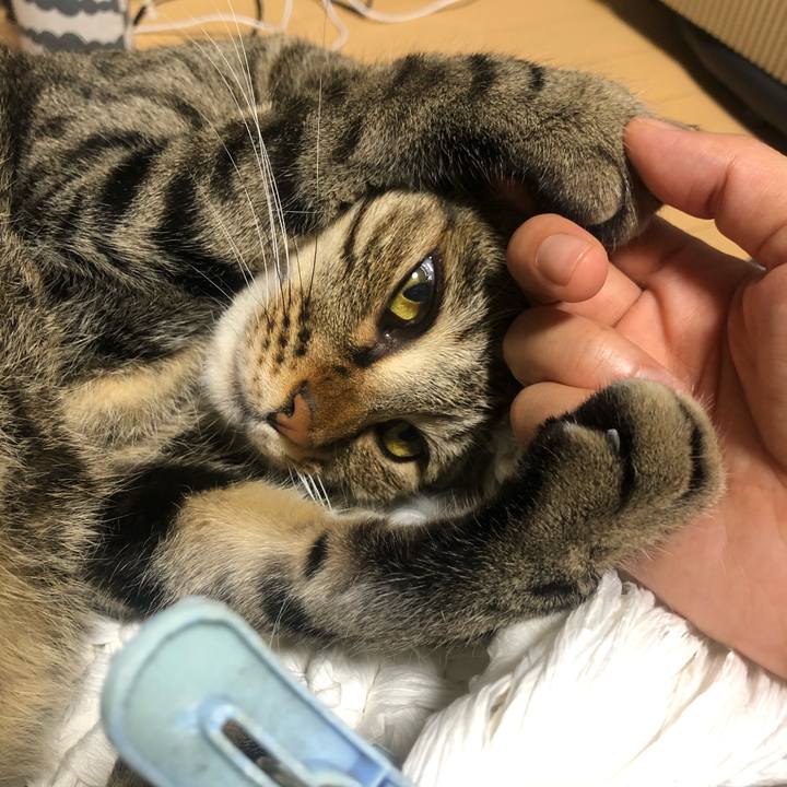 18220534 b8bd 4dea b38d e332f318f87a 1596891684427