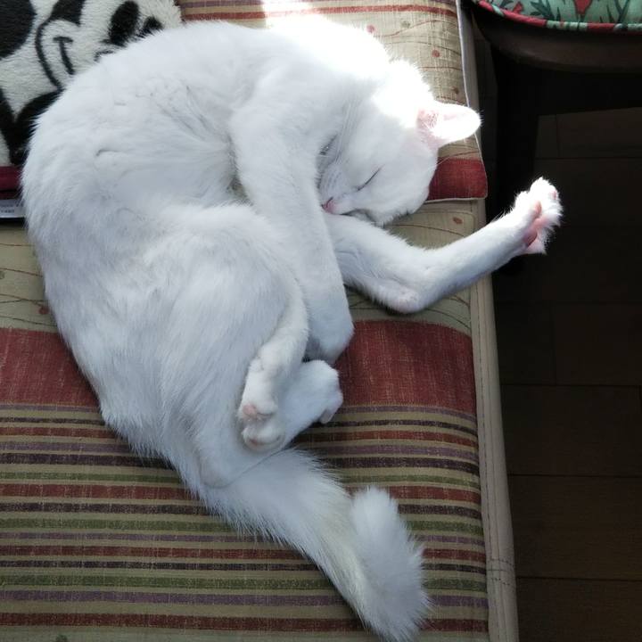 18222306 1b4d 4408 a1a5 639c61eeae06 1636691798964