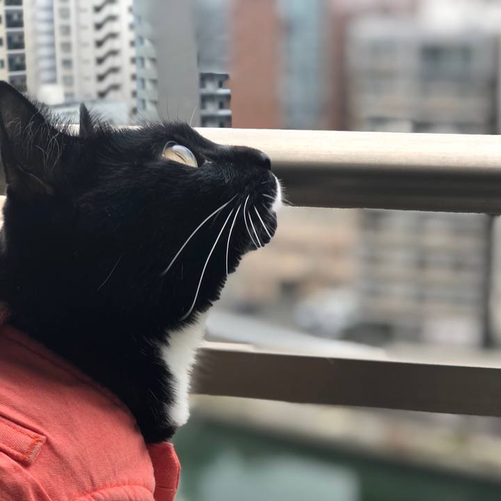 18227f51 fc78 4bcb 912c 93d18c8b4360 1575260113829