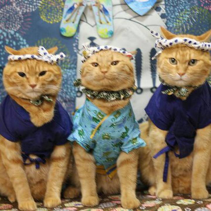 1822ade9 d221 4539 ae99 c6e724f637e5 1565709555930