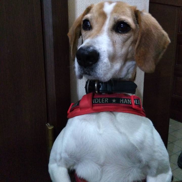 1822caa0 7f84 43e4 9c19 162424a234bc 1707826965506