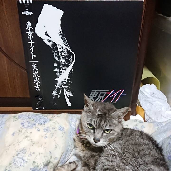 1822cf29 cadd 428d 8be3 a1cad28c20bf 1595158074484