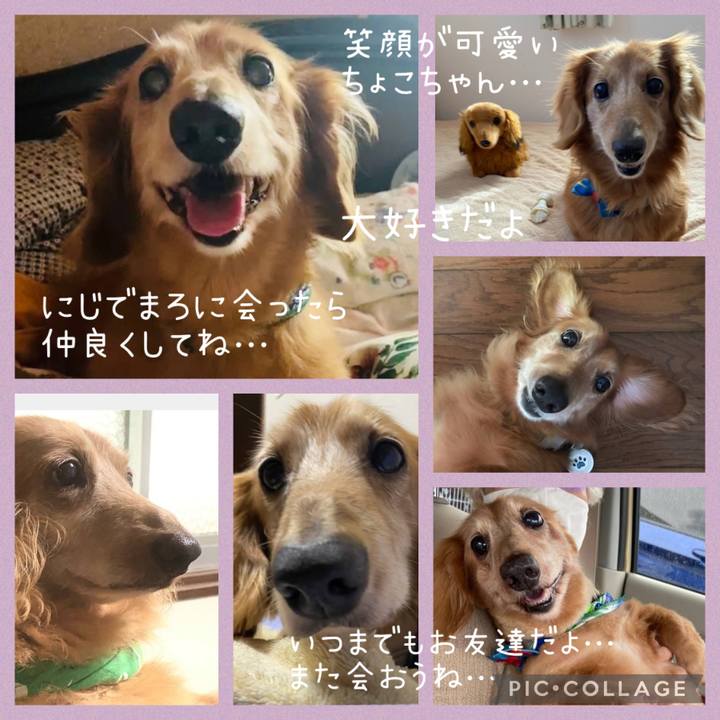 1822e02b 946b 4058 8424 1aa8567d9414 1692420879237