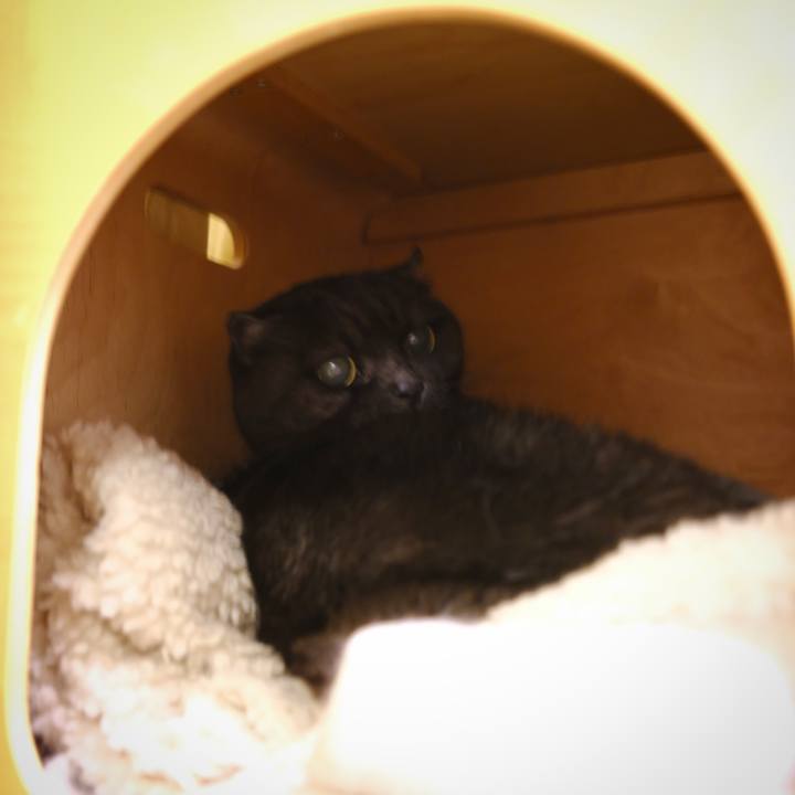 1822e5fb bc77 4859 af58 b720bba8ffa6 1643124448414