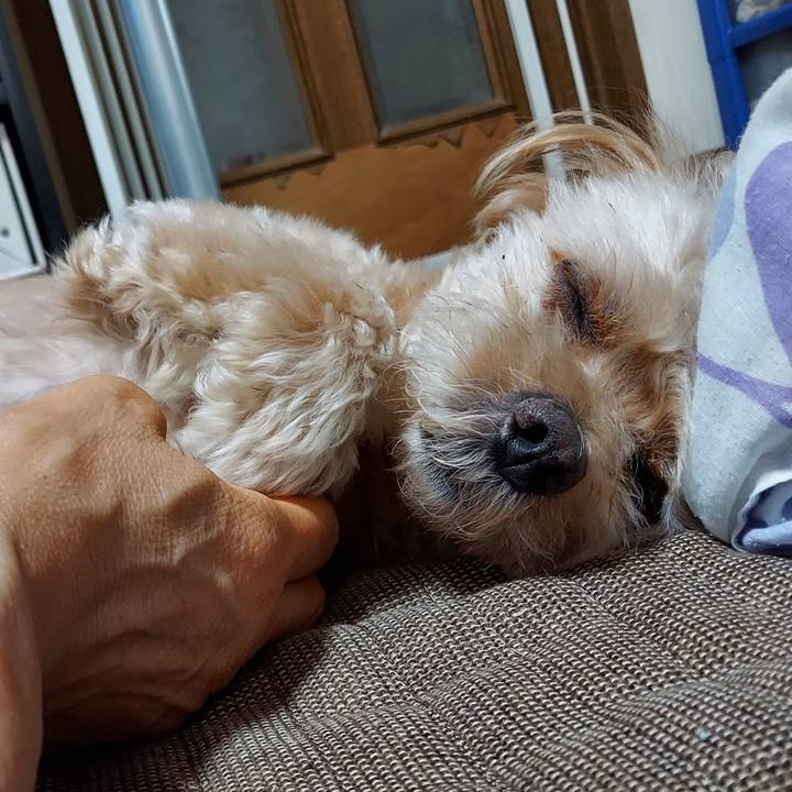 18230ad0 ebb1 4151 a930 4eb76f7512b7 1693883509945