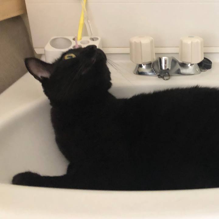 182375fd 157d 497b b84e 21cb37e2e6ae 1566093263406