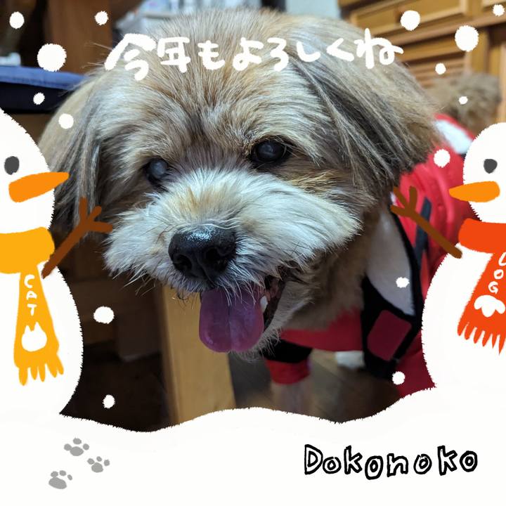 18237b2e 0ee1 44b6 86c2 725e470a9b1b 1704084888450