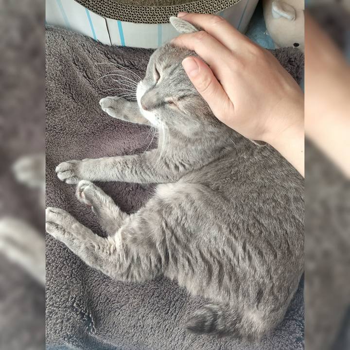 1823acb5 aaca 4324 867c 2b4a75c1c92e 1663906093465