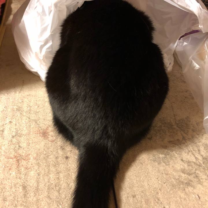 1823e805 84f3 406d a87e 46747bd1cfc4 1541627160535