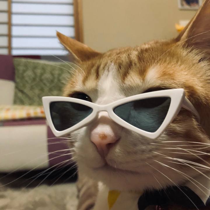 1823ed7e fb3d 4cae 8f03 80d1fad73594 1554088668642