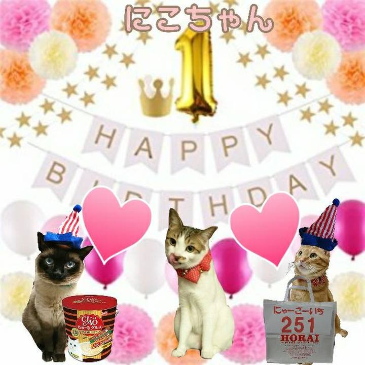 182402bc 89b3 4098 b176 72f25d54ed4f 1529011719348