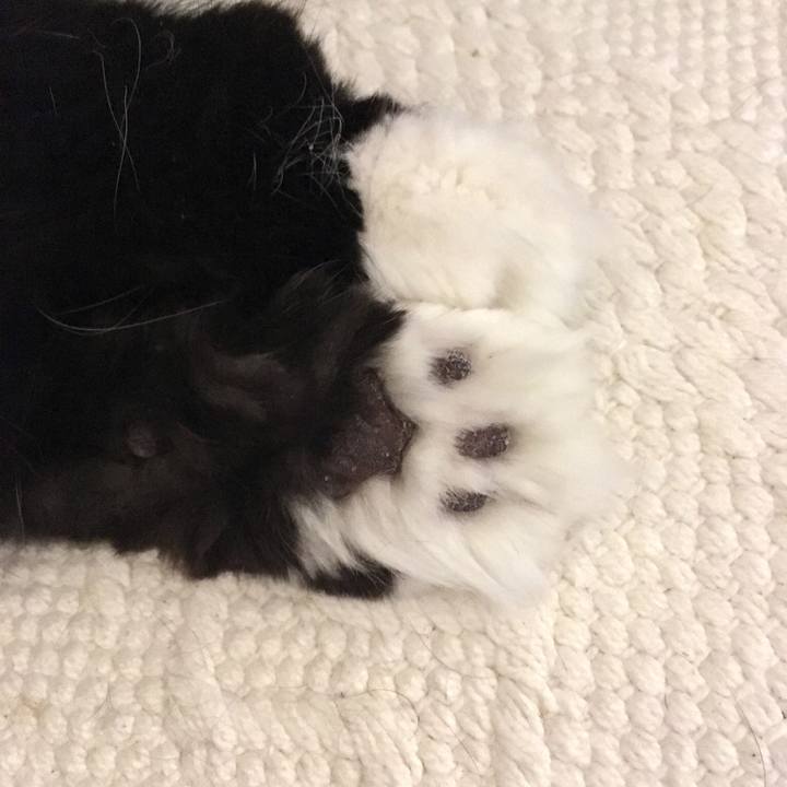 18240850 d418 4136 a592 9f8d05057b47 1557105671885