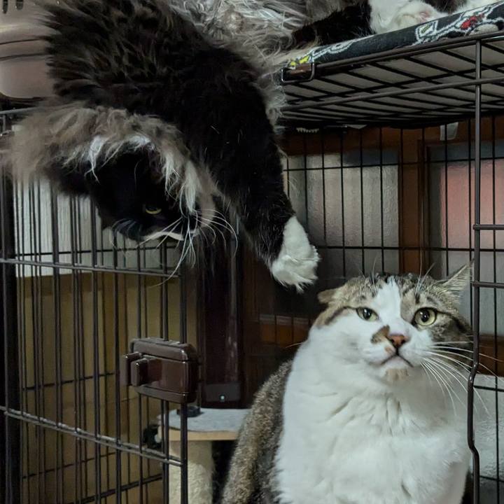 18240e77 398d 43c5 9bac cc21fd053f55 1735042234694