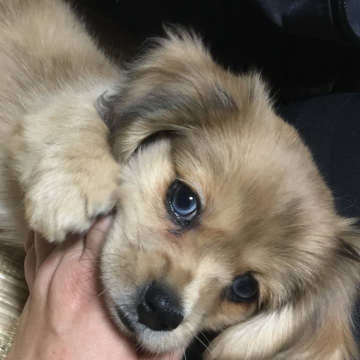 18241a44 a9e6 4b73 81b5 a0eed4464c4a 1591590361208