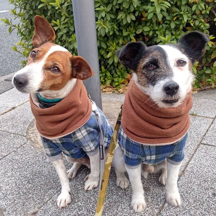 1824490c 0893 4c10 8949 4835045df7bc 1705616509584