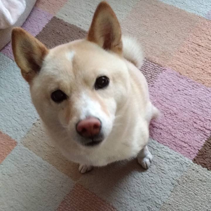 18245315 8174 4587 933f c0f7f2d0bc07 1585862619519