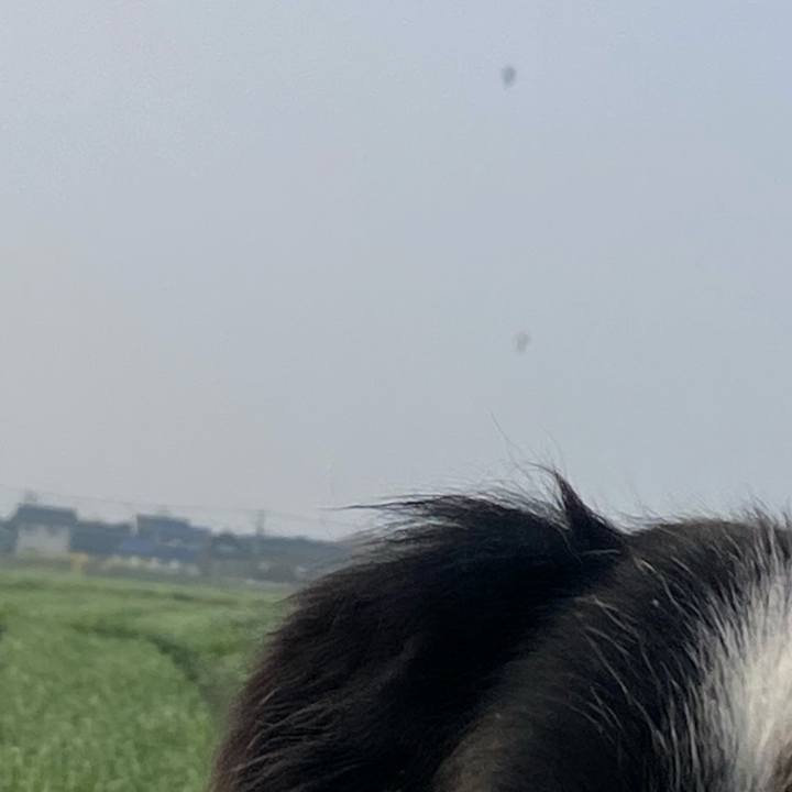 182459c2 4034 45af 94c7 fd460e9b9502 1615678396672