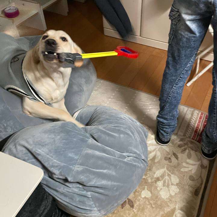 18248691 5bcb 4c2a 9036 997fd03b5fcf 1641958975816