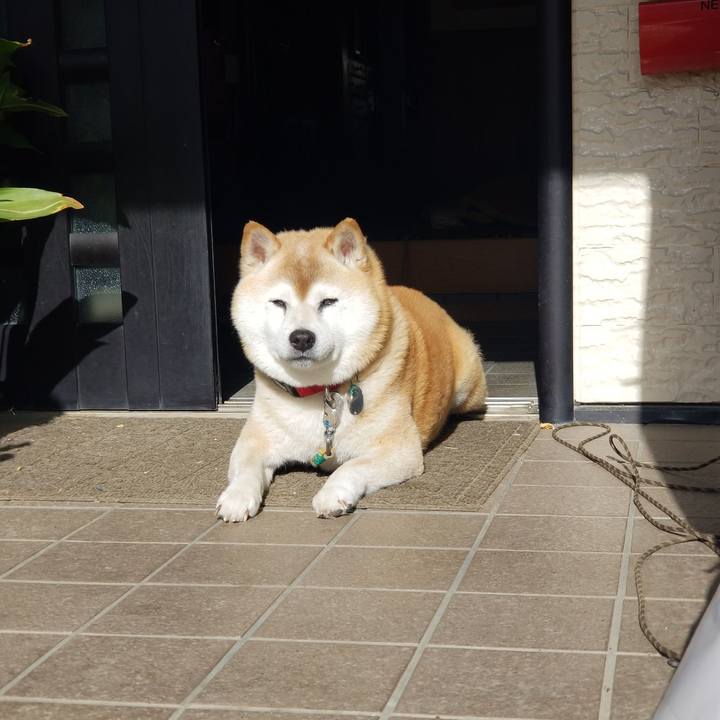 18249e07 e3e2 4db8 9746 a3d0fe5a0d6a 1716016382917