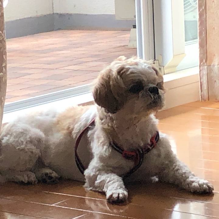 1824c215 b5c8 4203 bcf4 4283c295781e 1599964031391