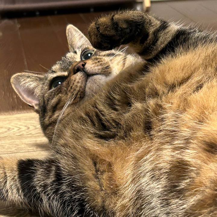 1824d7ee a73d 4da5 a9cc 4cb18913b399 1688039654311