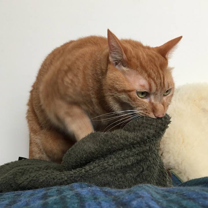 1824debe b7a8 441a 886d 54b56546adcf 1603246905114