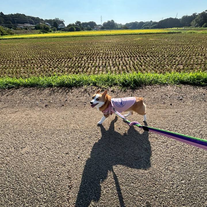 1824fa4e 3a74 441b 9ef4 f1a84df2ff3f 1757217564553