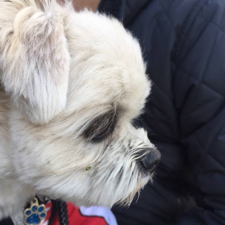 18251981 f0c4 435b b79f baadf4a897e2 1511350083133