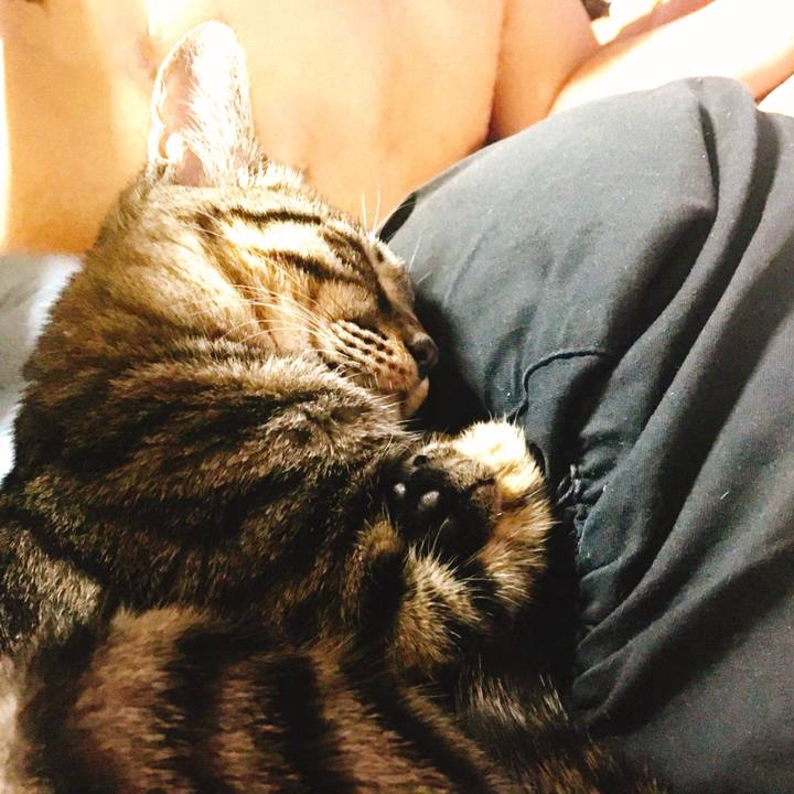 18251b87 292c 4715 b292 50ab6ca3cbf7 1541929584356