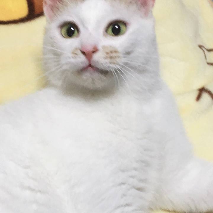 1825627f 4407 498a baae b54e73098610 1570963445576