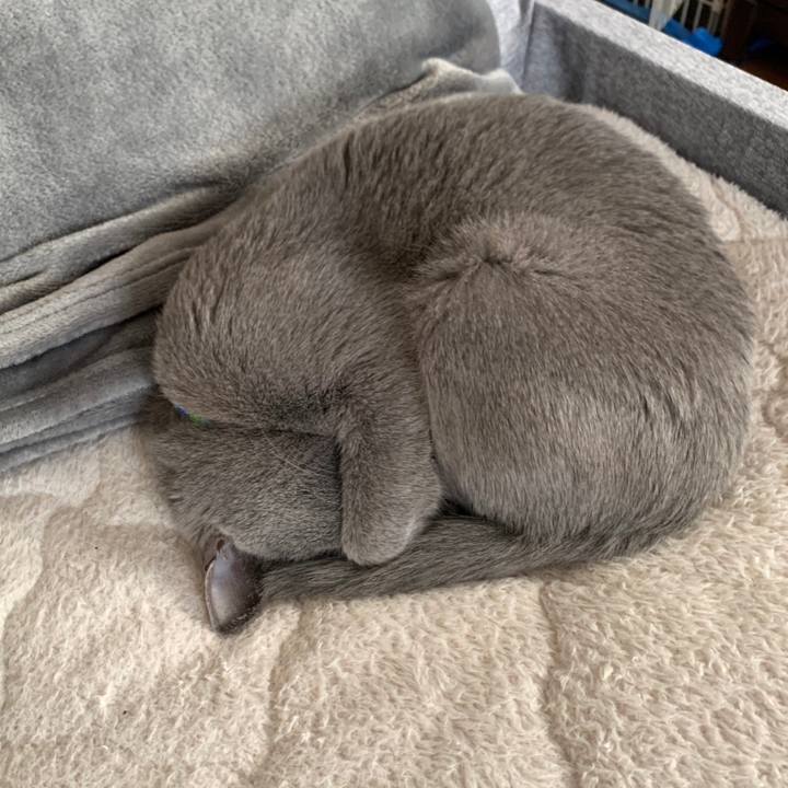 182587cf 4569 45a8 b8e6 7c809e9ed48f 1673678518616