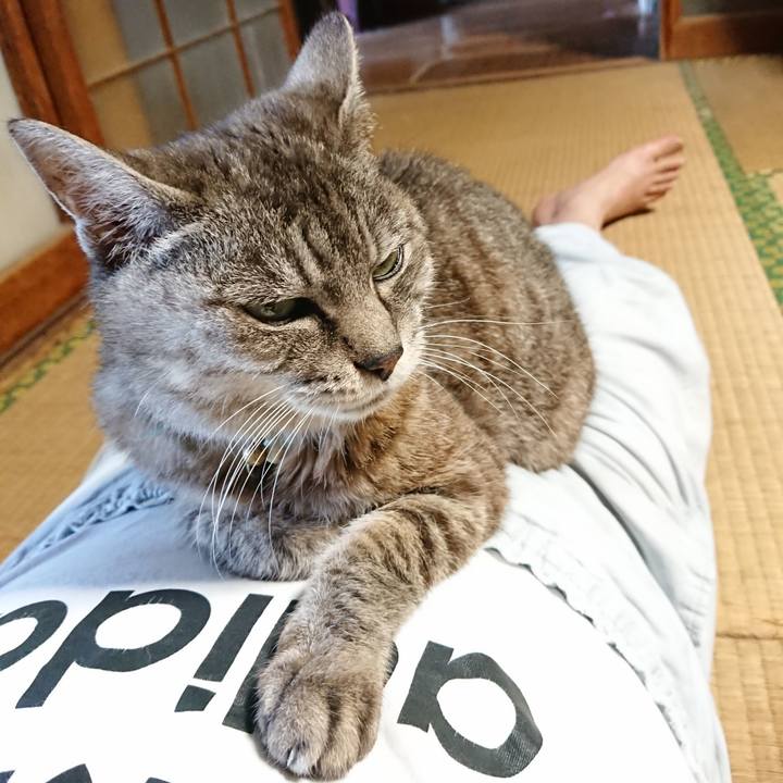 18258944 0be8 4b16 afc9 9cc3667f1b74 1570348881967