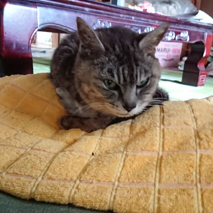 1825c3d1 c2bb 471f a72d 9fff1a9df6ff 1592991028321