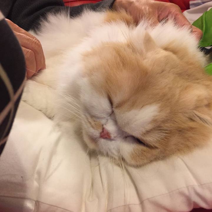 1825cbda ee4f 4f53 b9f7 dc0ca73458bb 1569156023270