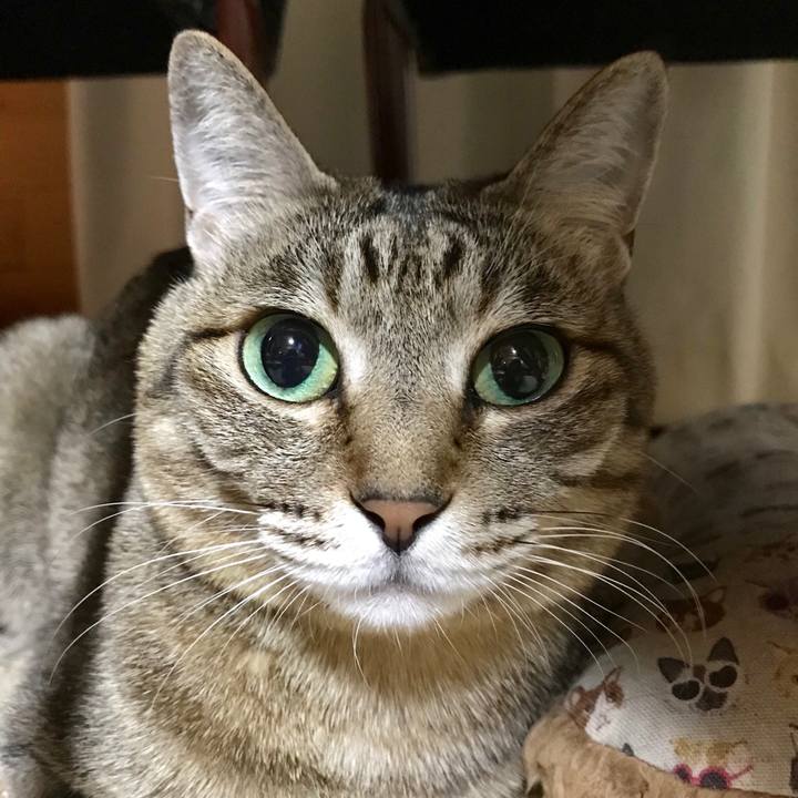 1825e102 012e 46e7 982e 2f212c348eae 1550926740131