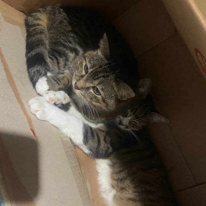 18261860 94cb 466a 872d 71c2d589d6fd 1725294757926