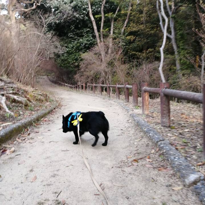 18264e22 4948 4a7b a5a4 434ff96eb406 1648159035598