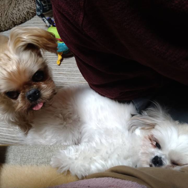 182674fd 4032 4051 9aad 2af51cba0edb 1613646162194