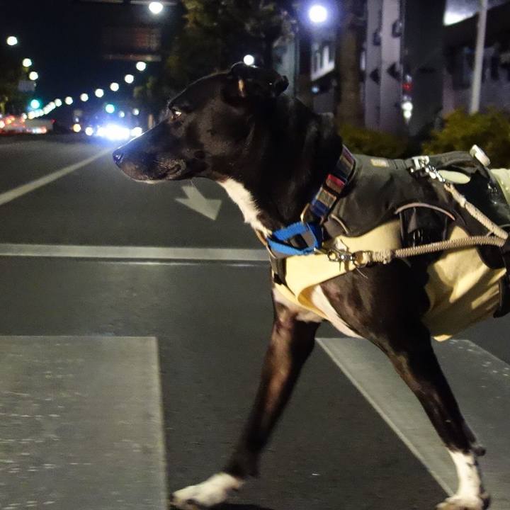 1826c549 b6d8 4865 9014 8bff6fe93f4b 1641812845501