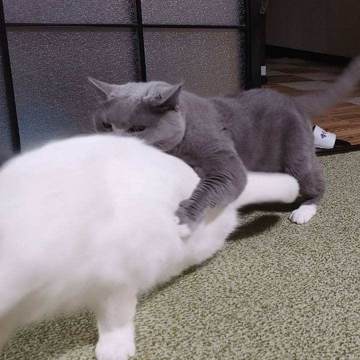 1826d70c 5c7a 4587 b583 107d5dbaf836 1679668549128