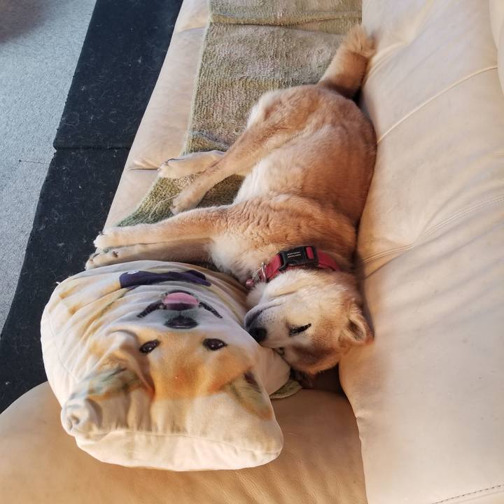 18270c54 6661 4d8a b957 a0c1c868a2f8 1773012346054