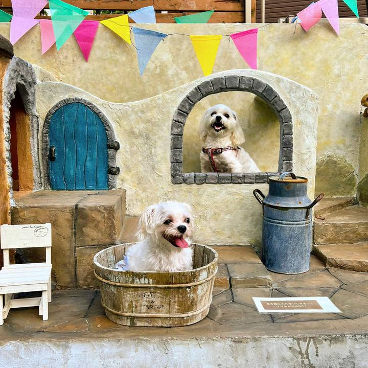 182717fe 9848 48cf 9ce9 d3274569594f 1659062939031