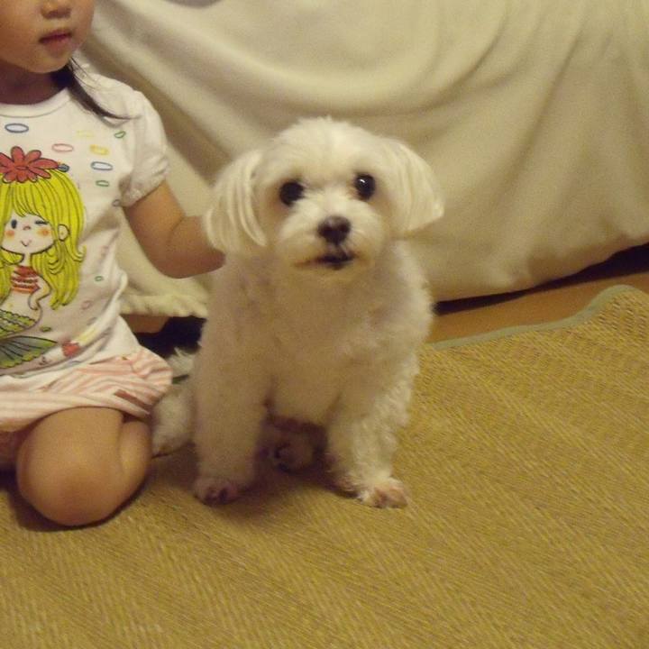 18273a8f 9d34 4020 9a7b 8a1f06e2b7ff 1644970695801