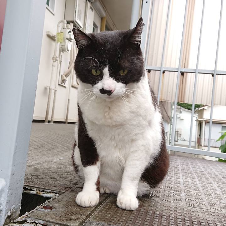 18275027 4582 45ff a2b5 bc618467b280 1589930916412