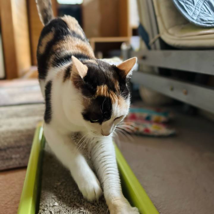 18275a93 dc1b 4f7a 97c8 39c2e7a7602a 1689830753318