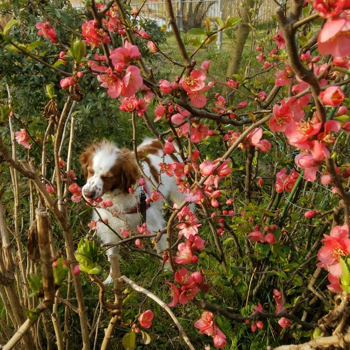 18281ebf fcff 4dcc 9595 7a35d403d432 1553473057937